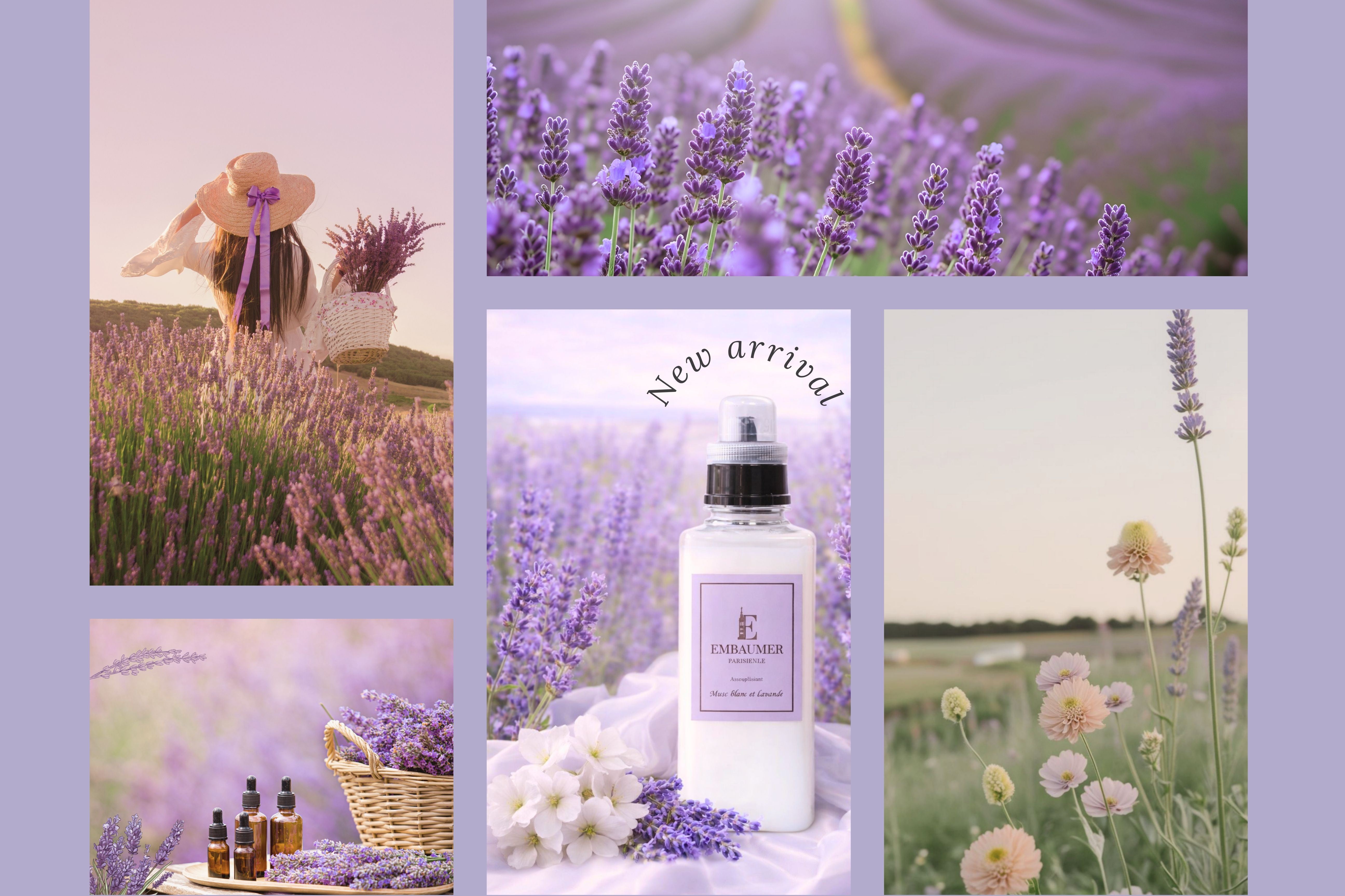 Musc blanc et lavande