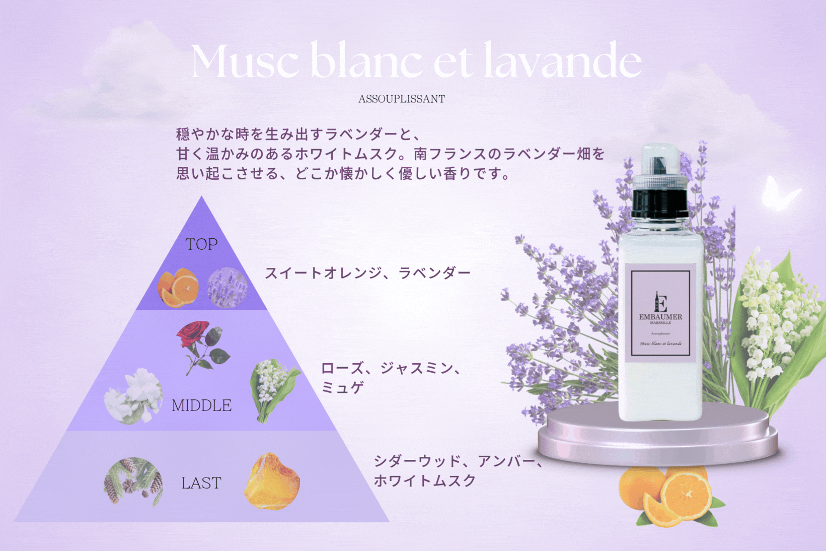 香りの三角形