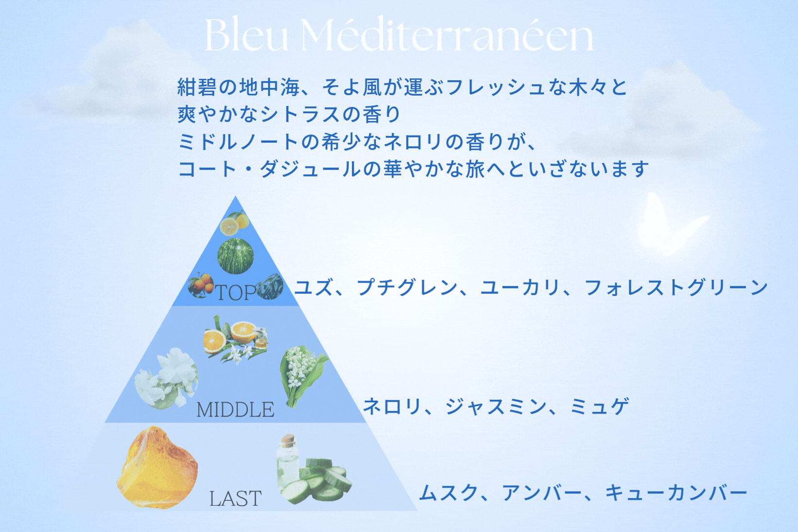  ブルー メディタレイニアン香りの説明